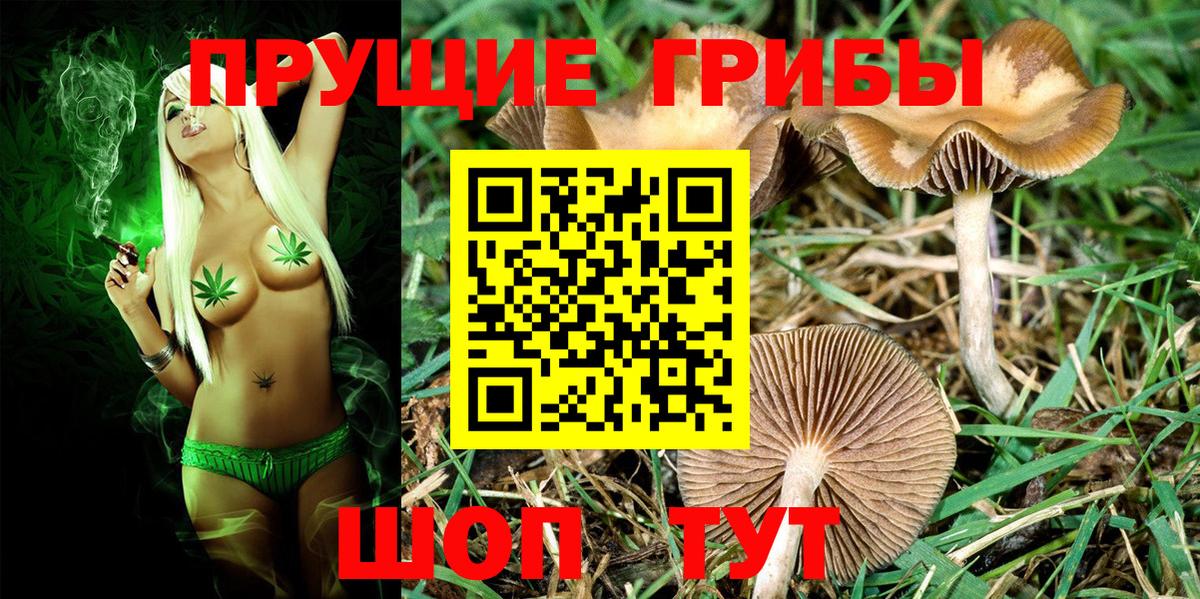 Псилоцибиновые грибы MAGIC MUSHROOMS  Галлюциногенные грибы MAGIC MUSHROOMS  Вход с VPN  Гулькевичи 